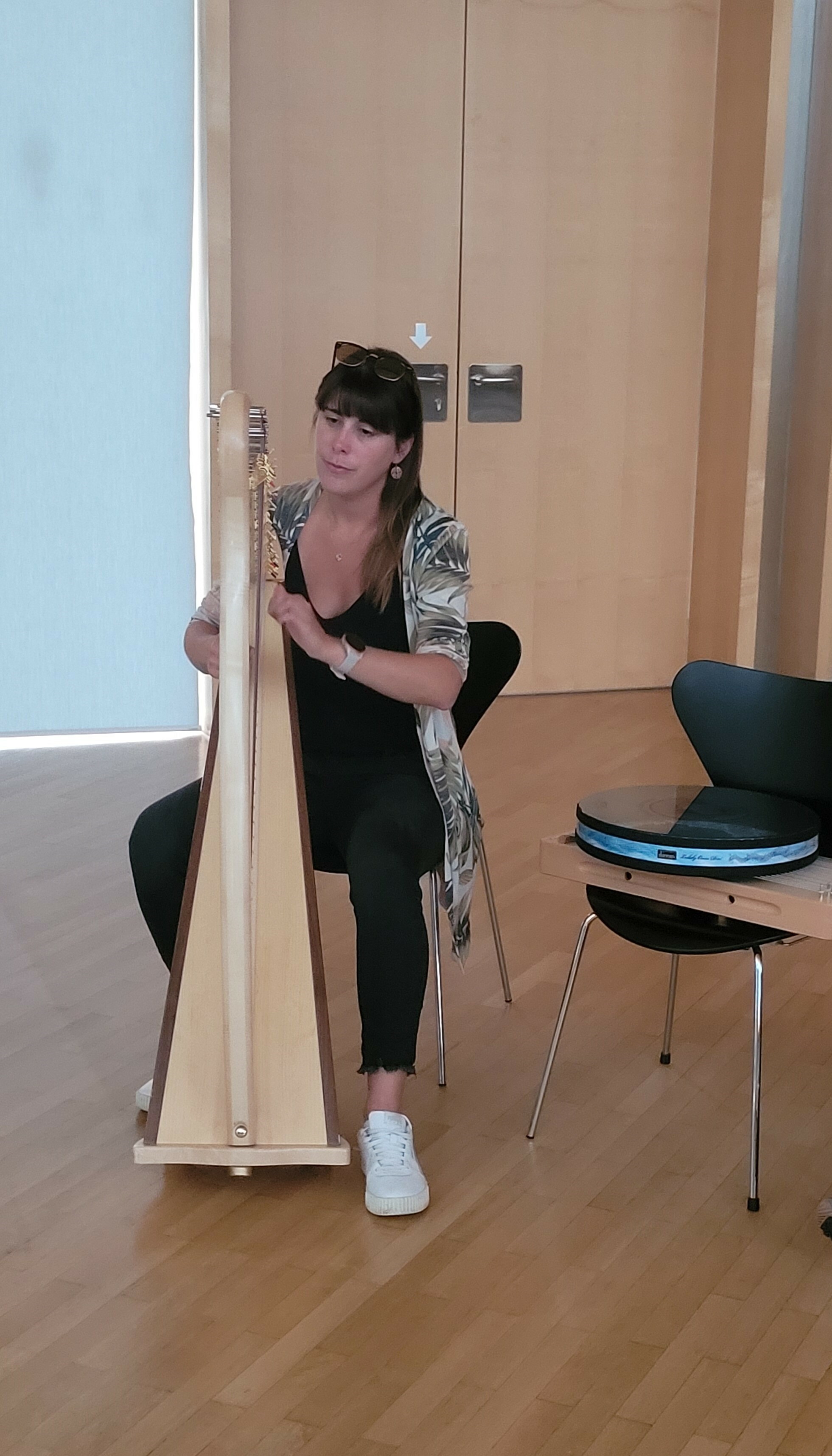 Musiktherapeut*in mit Harfe  (vergrößerete Ansicht in der Galerie)