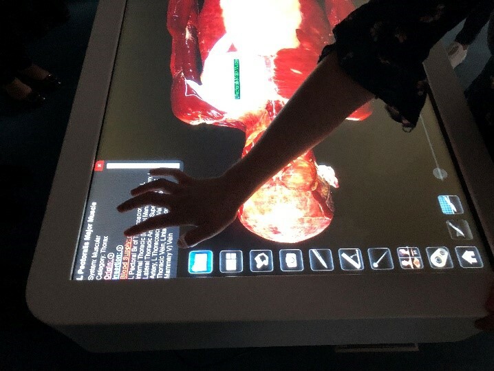 Anatomage Table 