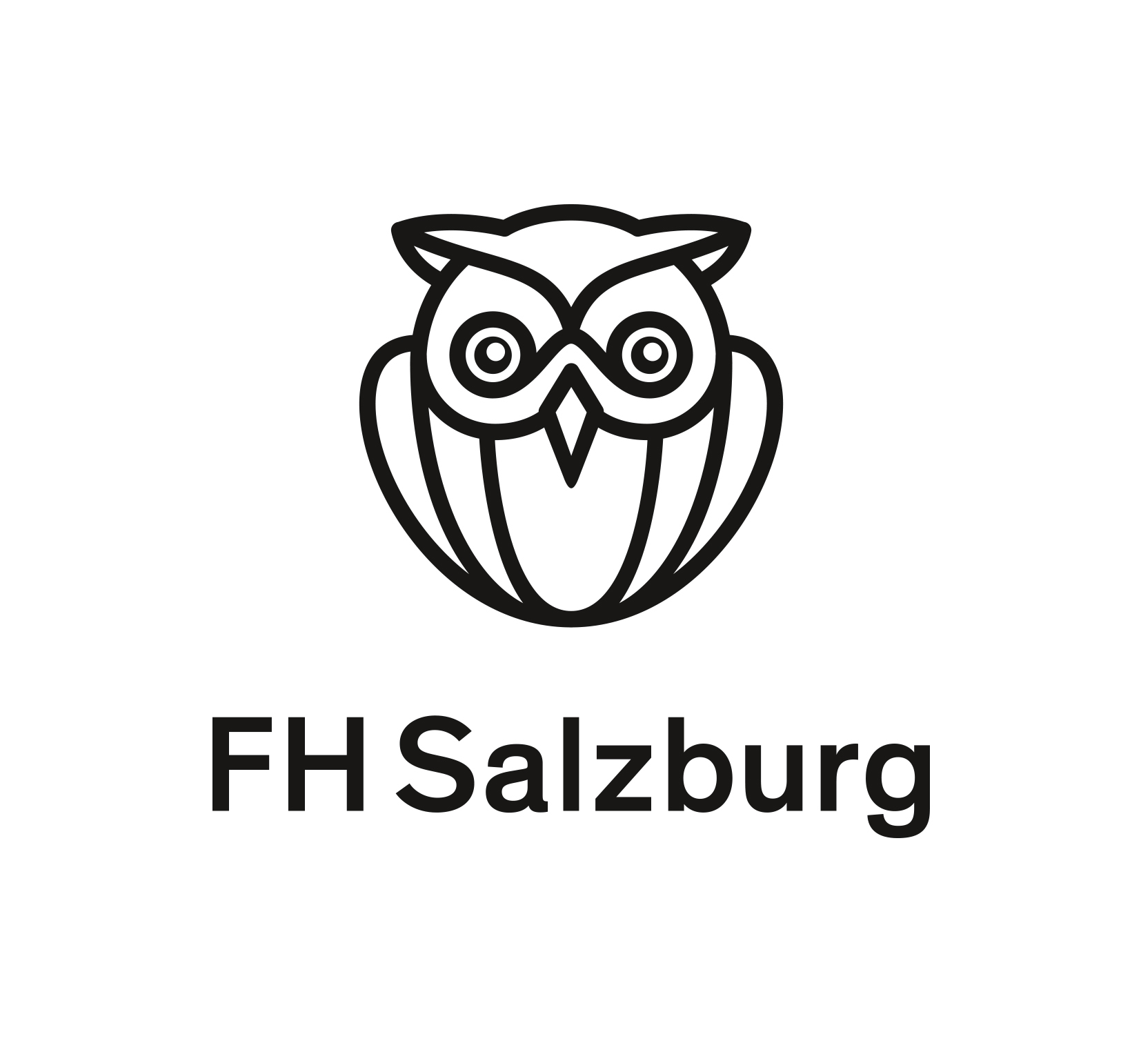 FH Salzburg Logo Dachmarke DE RGB 