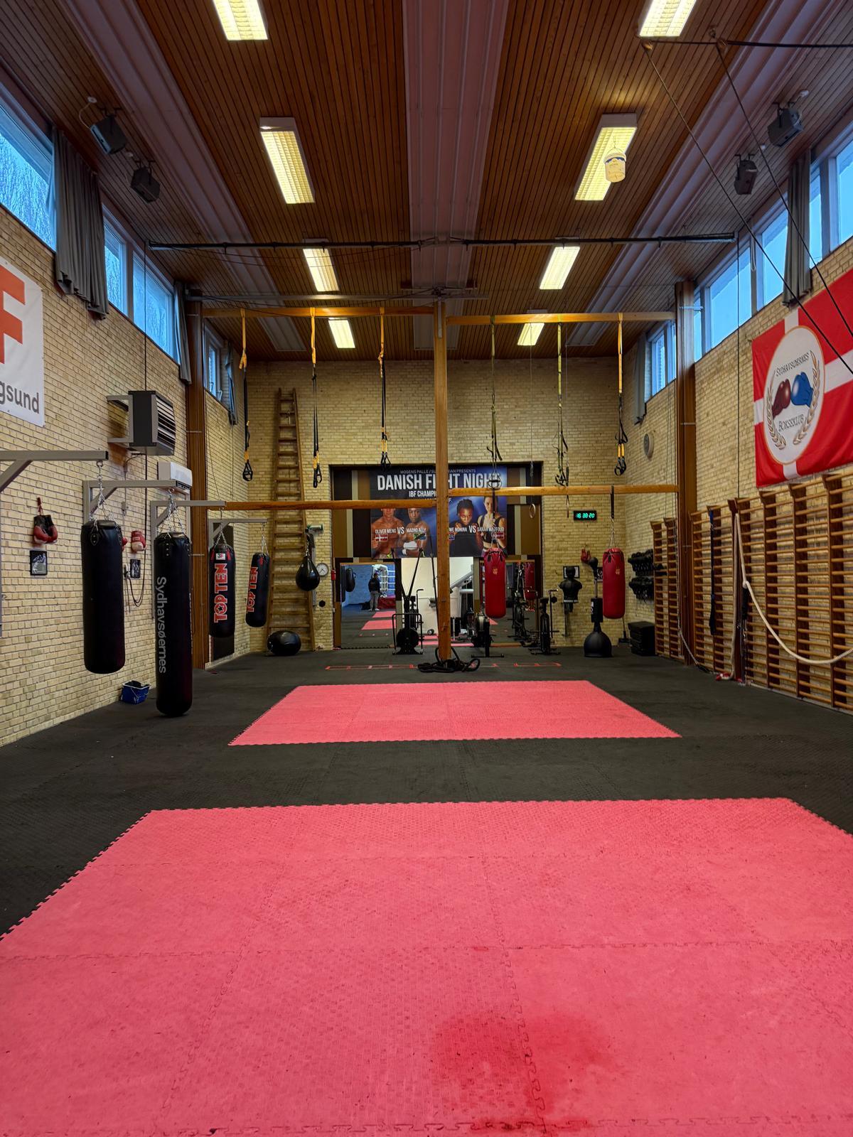 Aufnahme des Boxstudios in Dänemark mit roten Matten am Boden, hängenden Boxsäcken und Sprossenwänden an der Wand. Aufnahme des Boxstudios in Dänemark mit roten Matten am Boden, hängenden Boxsäcken und Sprossenwänden an der Wand.